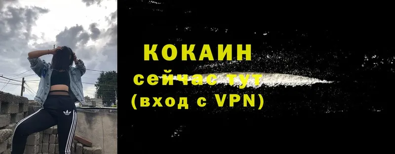 COCAIN VHQ Власиха