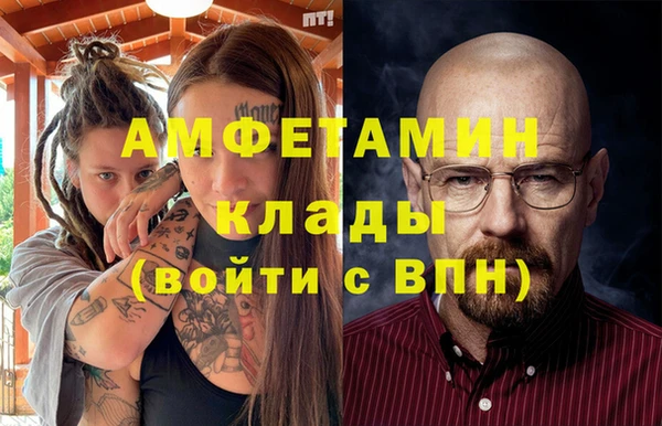 индика Балабаново